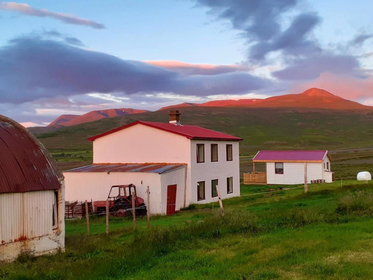 Skarth Guesthouse Saudarkrokur Eksteriør bilde