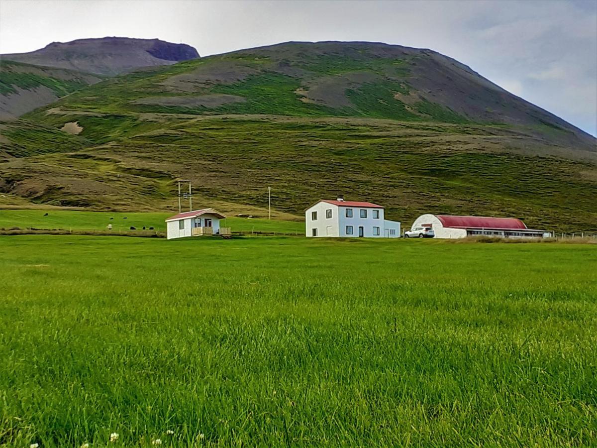 Skarth Guesthouse Saudarkrokur Eksteriør bilde