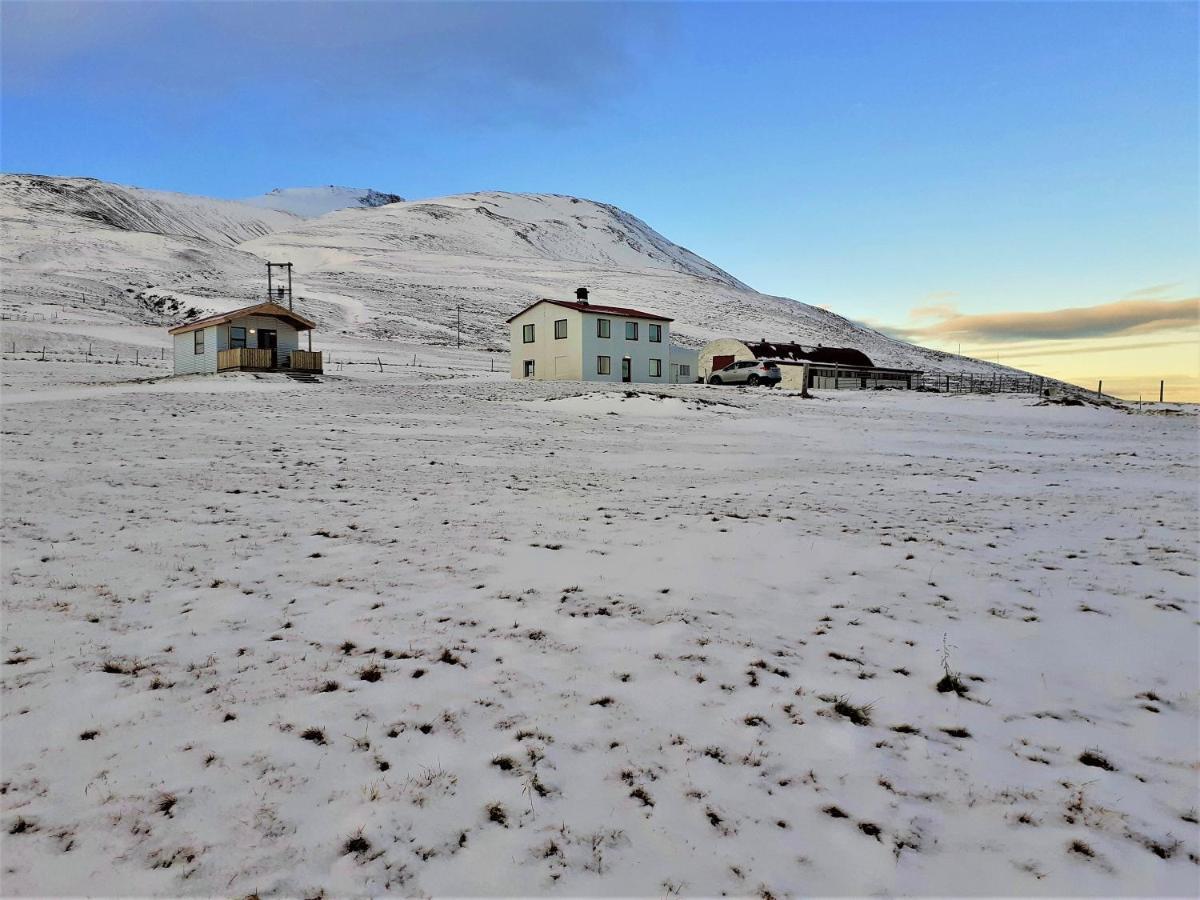 Skarth Guesthouse Saudarkrokur Eksteriør bilde