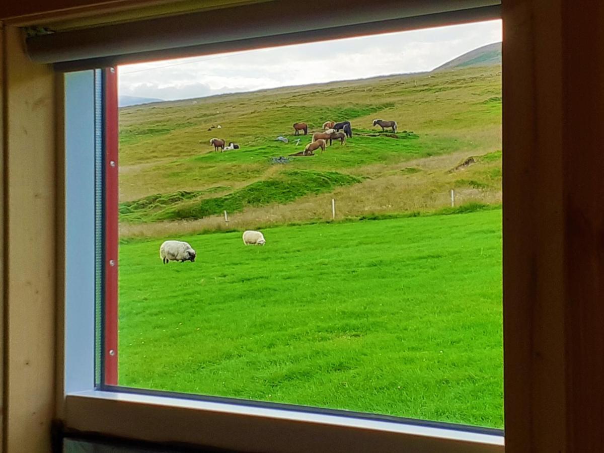 Skarth Guesthouse Saudarkrokur Eksteriør bilde